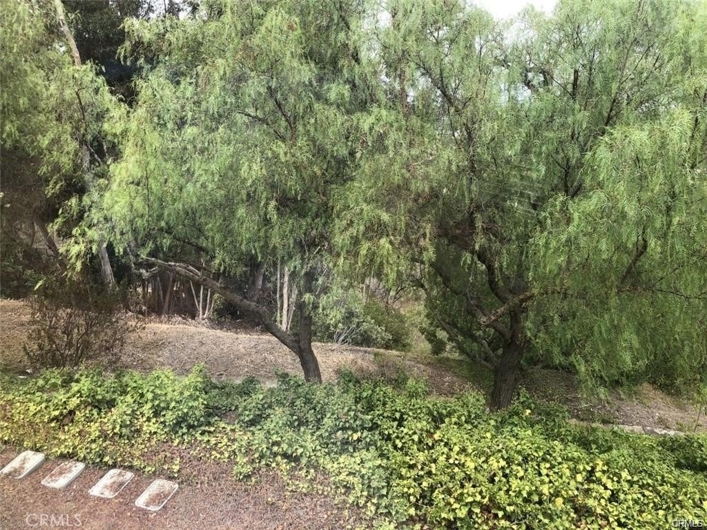 733 Vista Grande - Photo 12