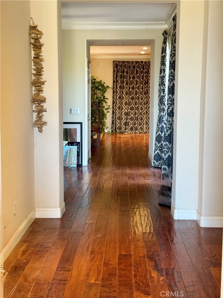 11408 Figtree Terrace - Photo 2