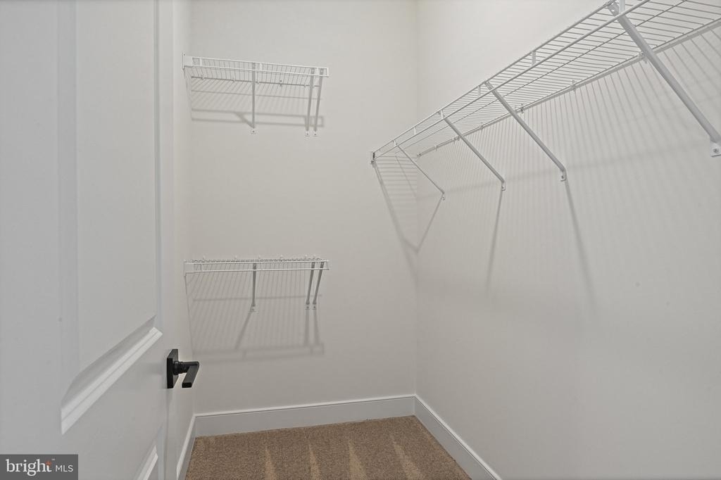 20064 Coral Wind Terrace - Photo 12
