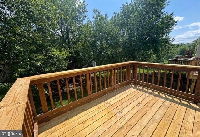 4037 Summer Hollow Court - Photo 11