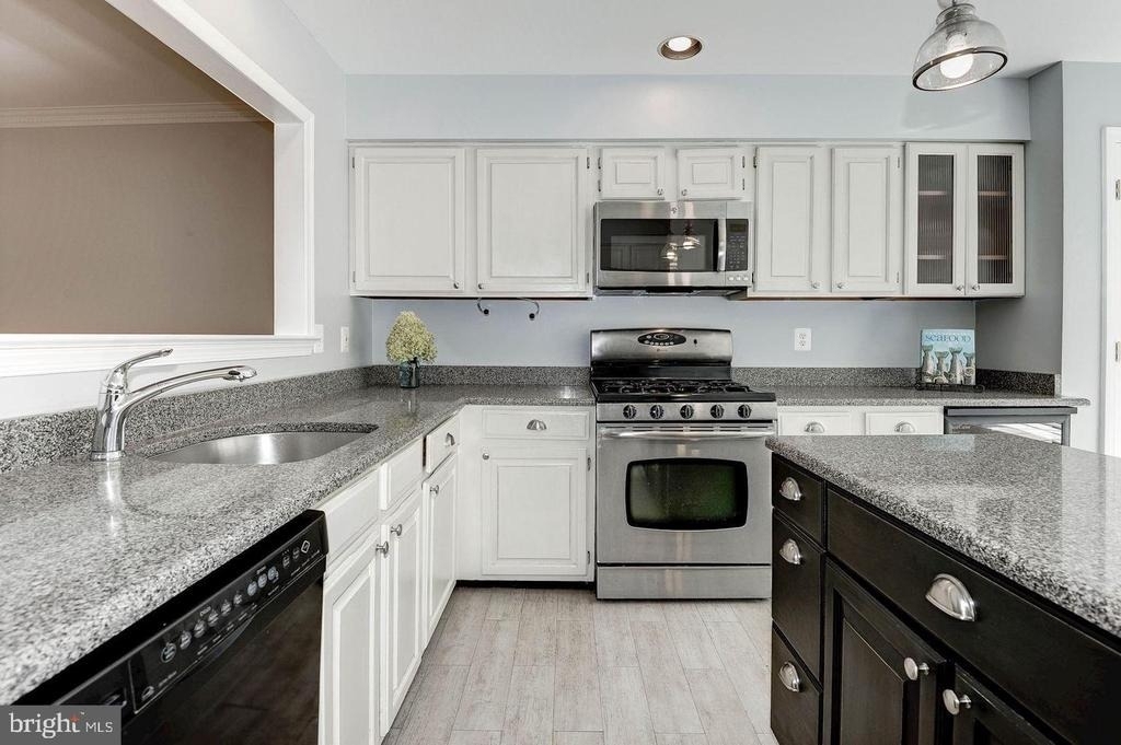 11748 Great Owl Circle - Photo 1