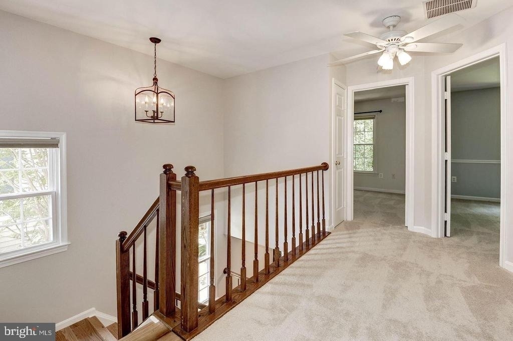 11748 Great Owl Circle - Photo 11
