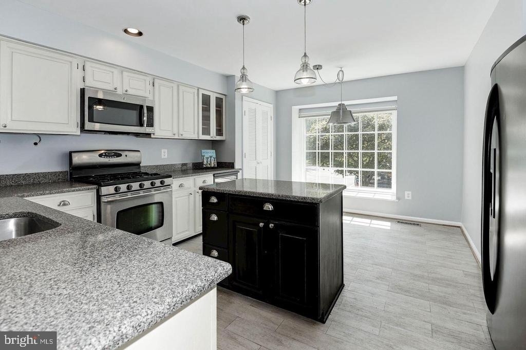 11748 Great Owl Circle - Photo 2