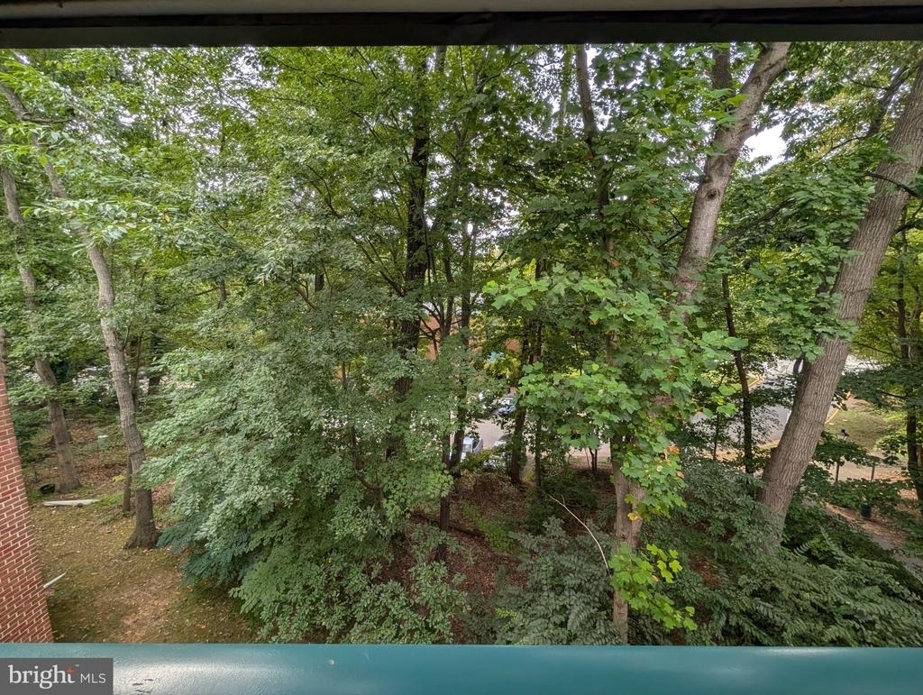 11821 Breton Court - Photo 12