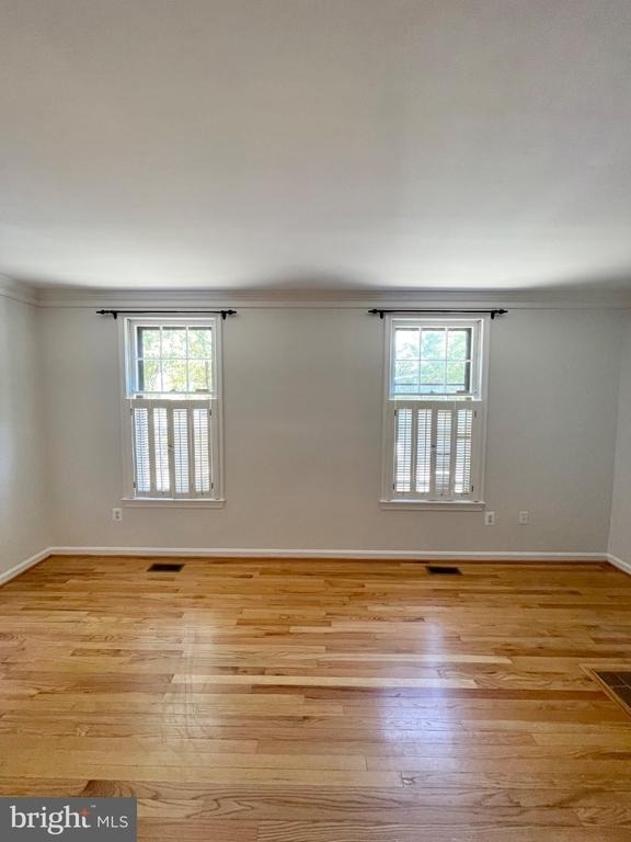 1208 W Abingdon Drive - Photo 5