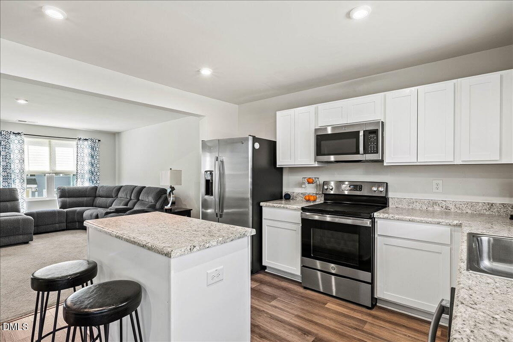 1107 Pale Moss Drive - Photo 4