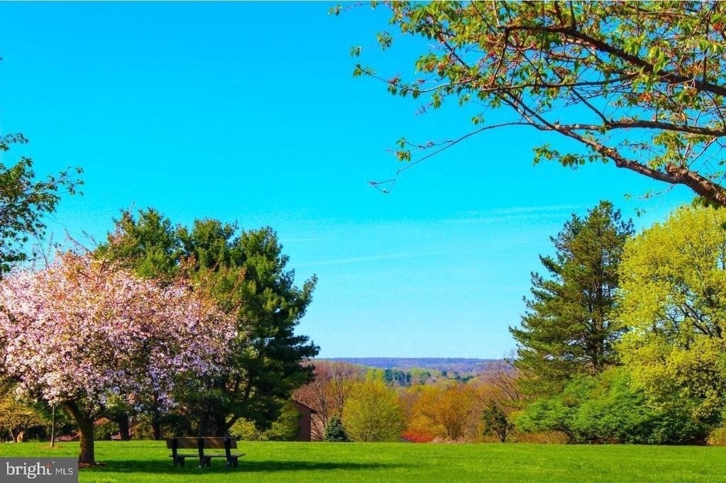 27 Darien - Photo 38