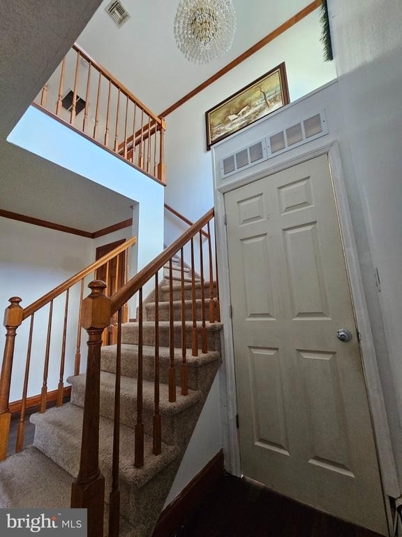 4 Reade Street - Photo 12