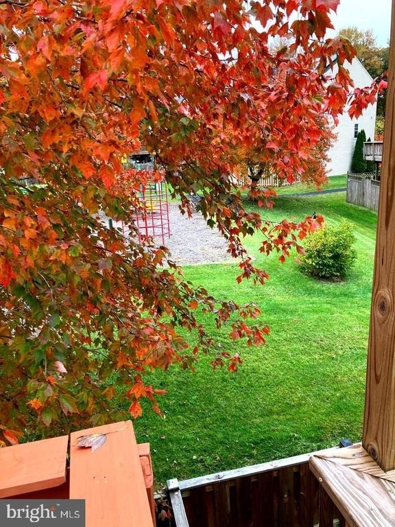 11503 Tuscany Drive - Photo 11