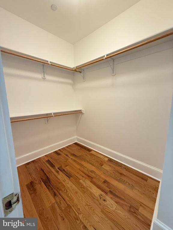 11325 Wicomico Oaks Place - Photo 16