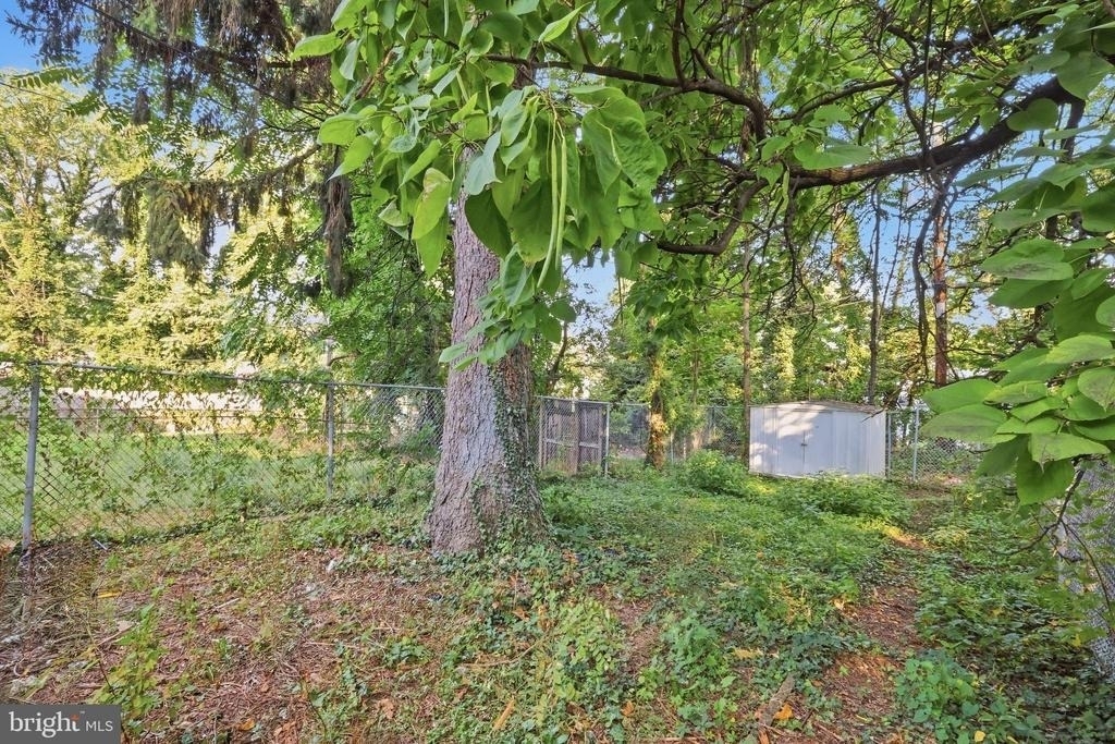 4008 Bonner Road - Photo 55
