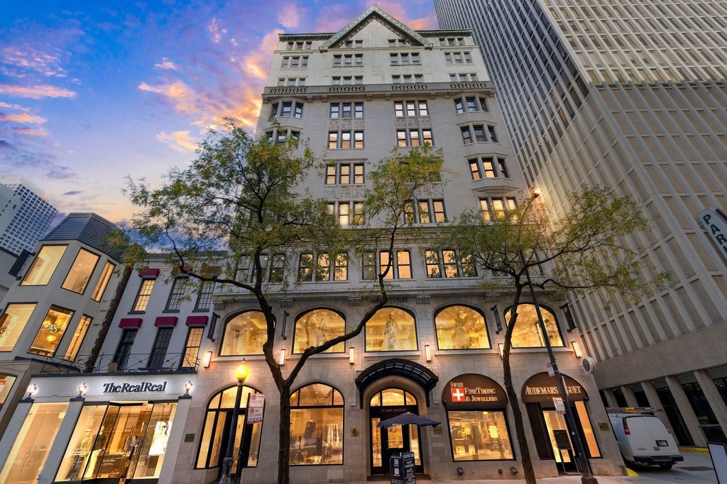70 E Walton Street - Photo 19