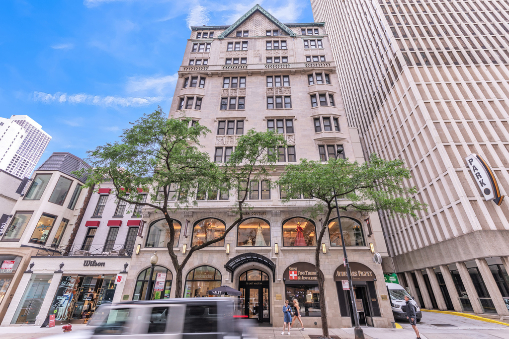 70 E Walton Street - Photo 0