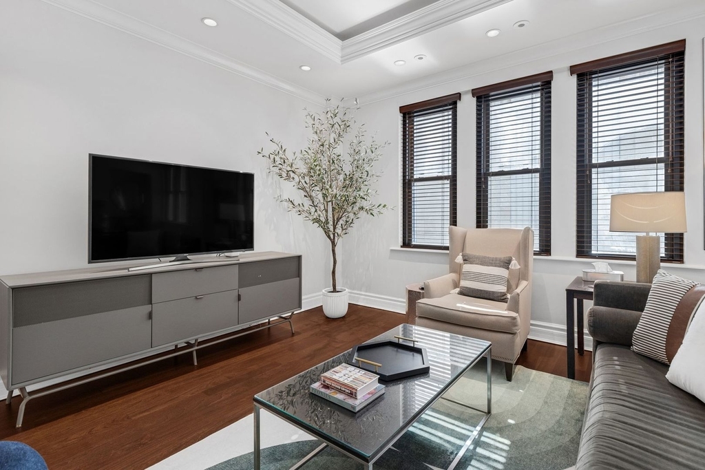 70 E Walton Street - Photo 4