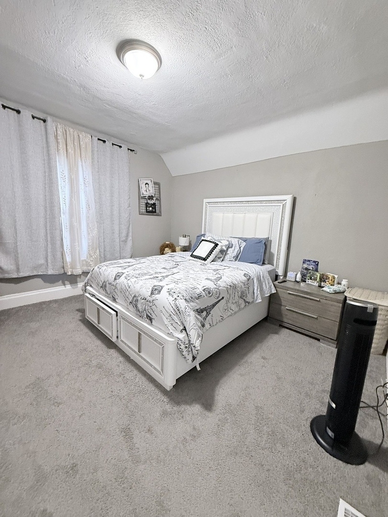 223 W 106th Street - Photo 15
