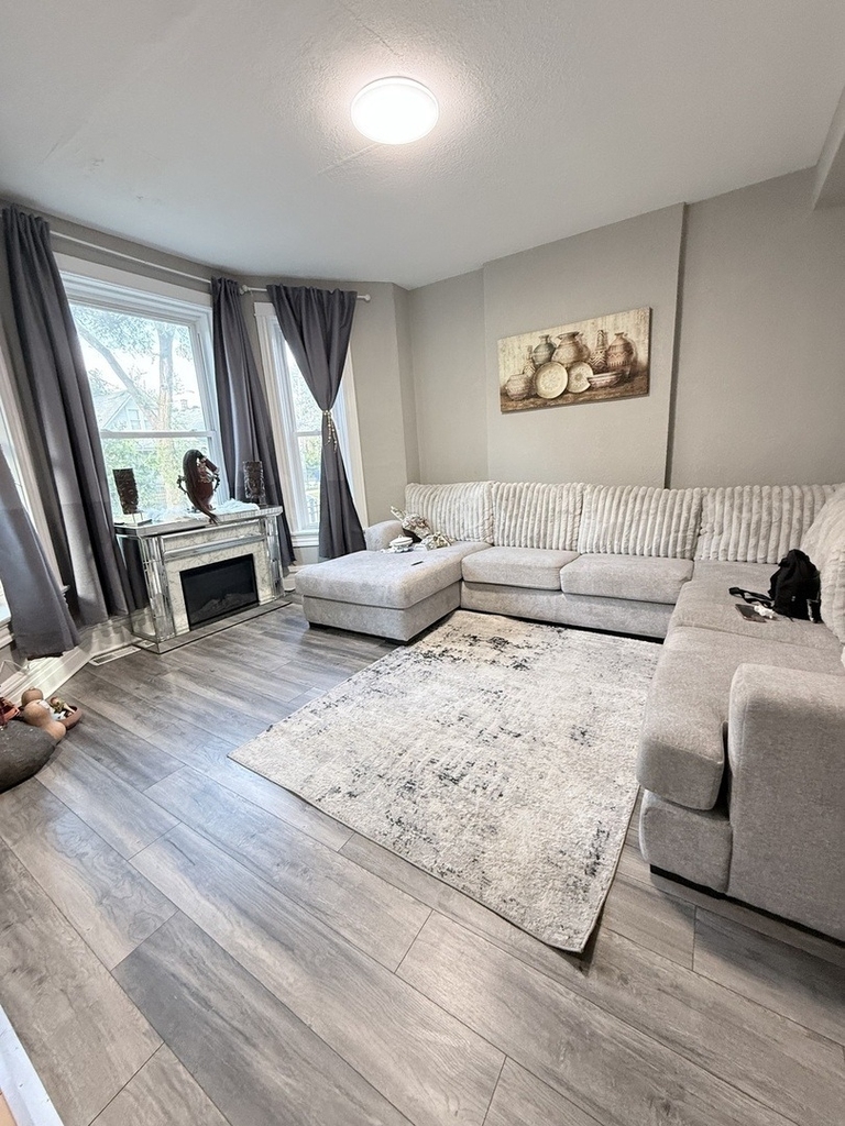 223 W 106th Street - Photo 4
