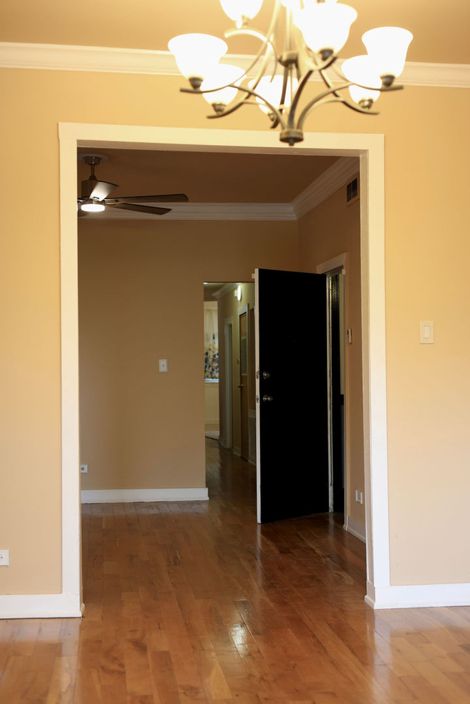 6110 S Kimbark Avenue - Photo 2