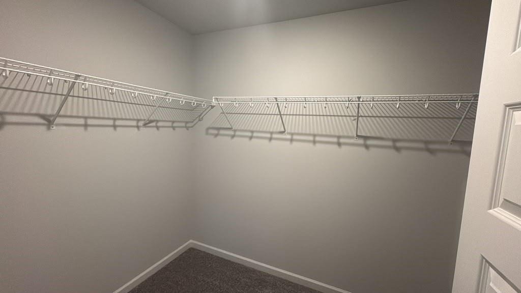 3832 Dover Run Lane - Photo 15