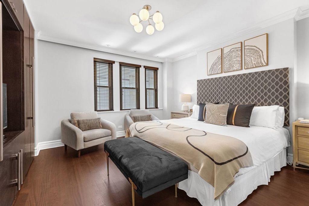 70 E Walton Street - Photo 21
