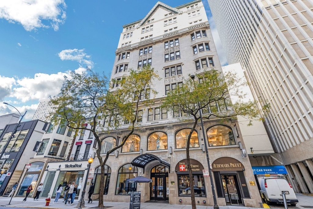 70 E Walton Street - Photo 1