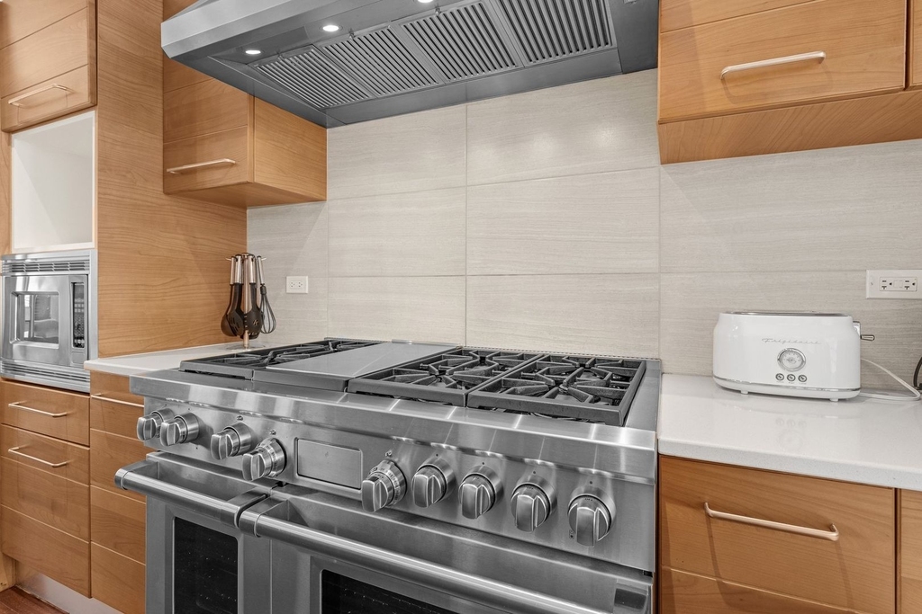 70 E Walton Street - Photo 16