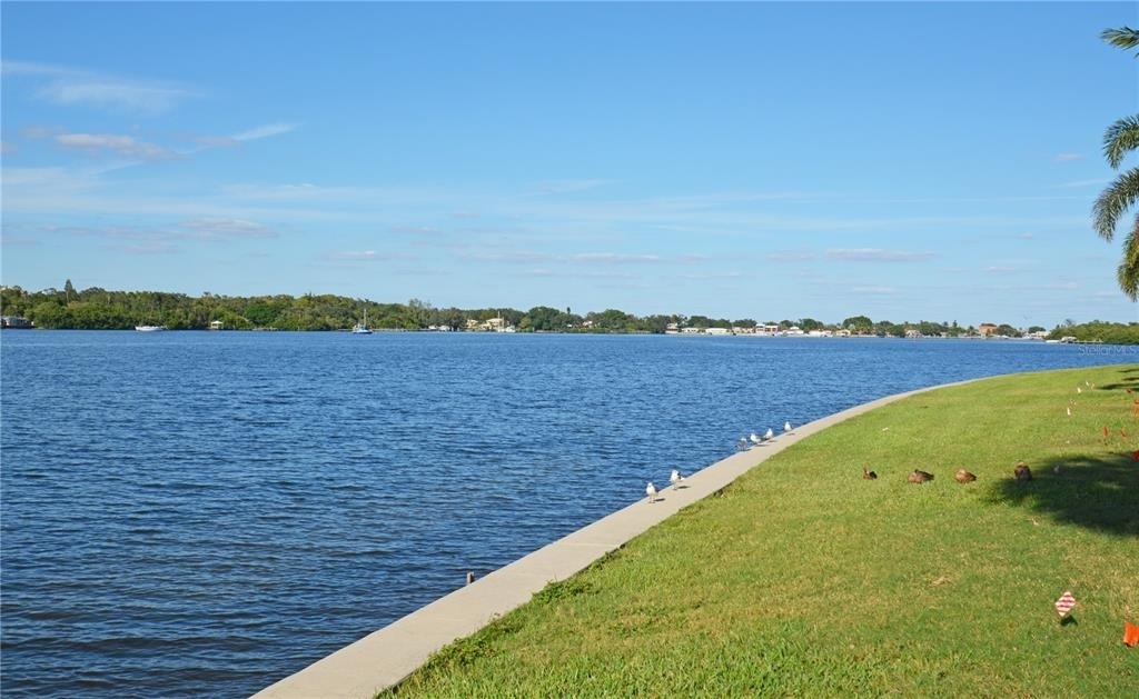 165 Pompano Dr Se - Photo 30