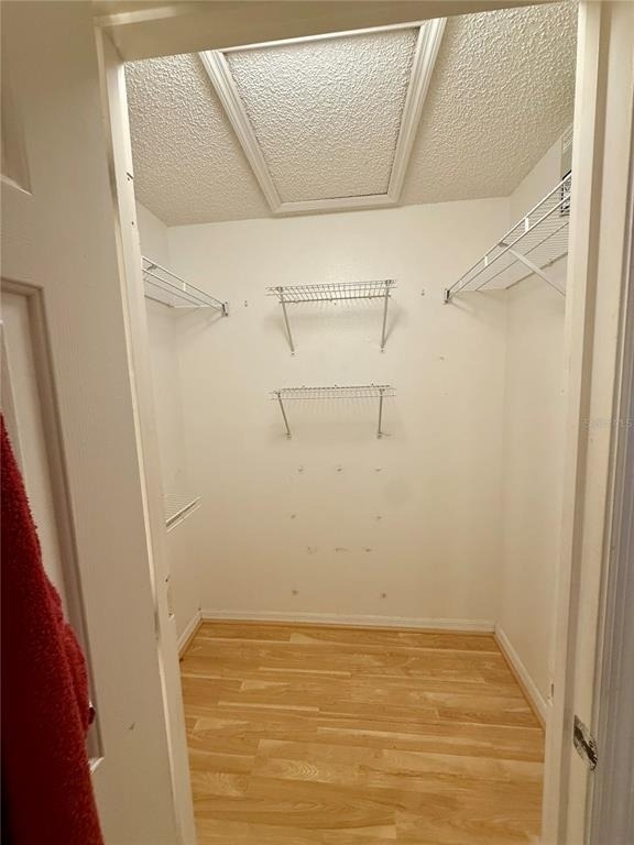 232 Strawflower Court - Photo 17