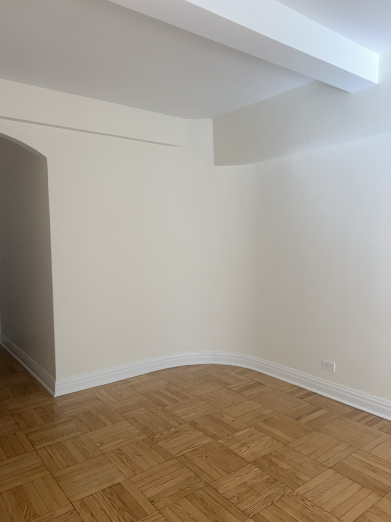 East 56th Street - Photo 4