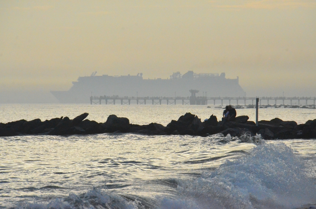 Brighton Beach near Beachfront - Photo 8