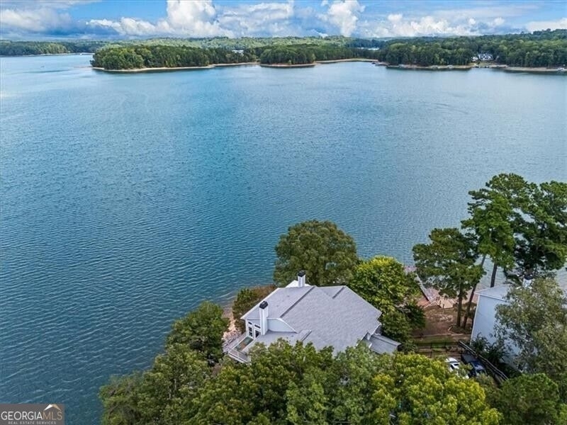 2100 Habersham Marina Road - Photo 59