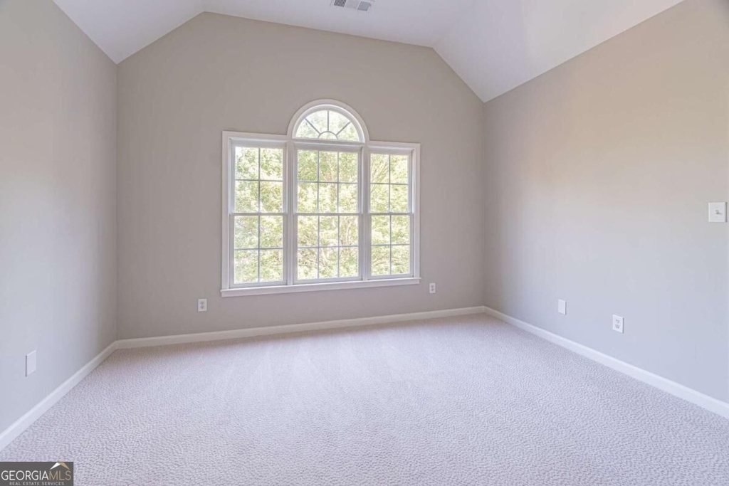 3763 Terrace Hedge Court - Photo 12