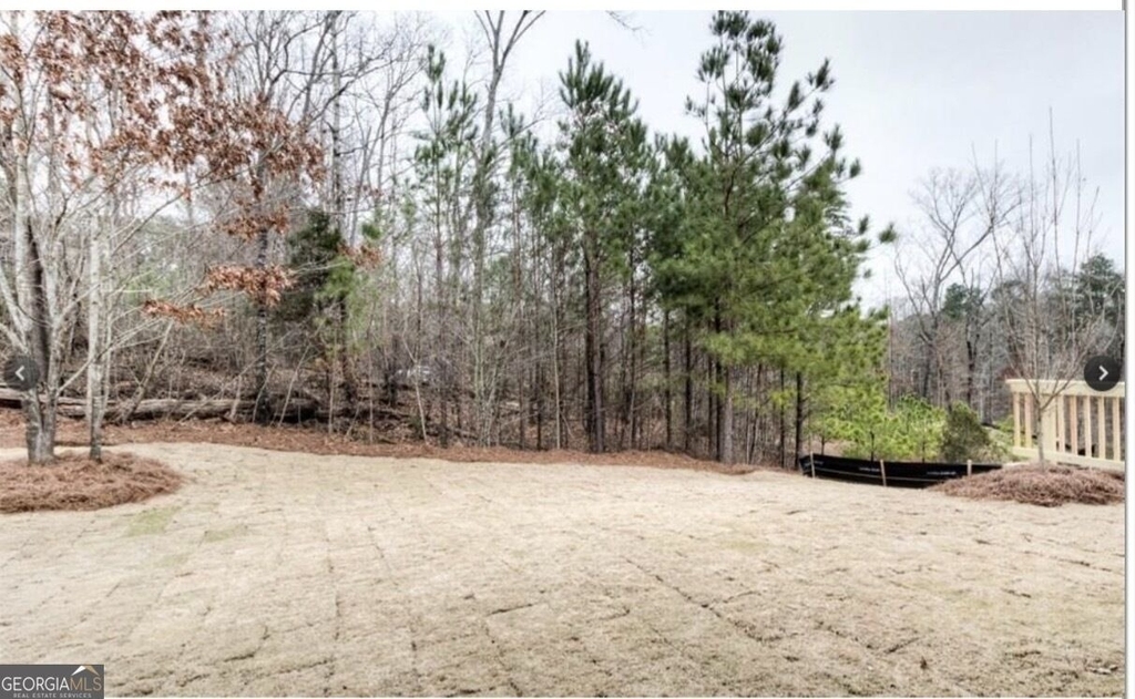 163 Archie Way - Photo 24