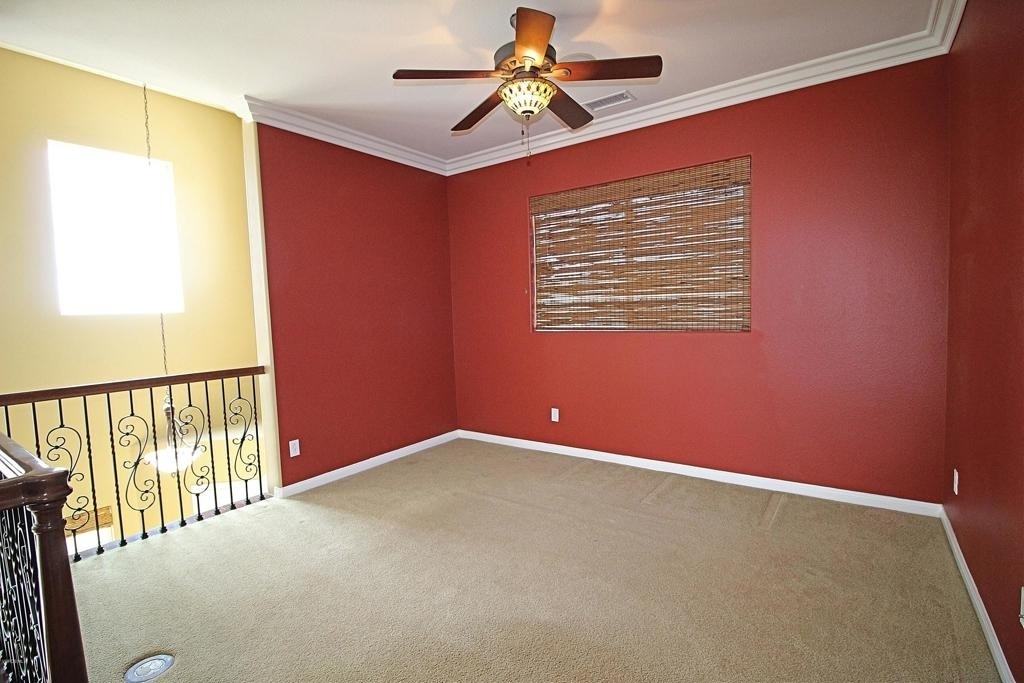 6294 Canary Street - Photo 17
