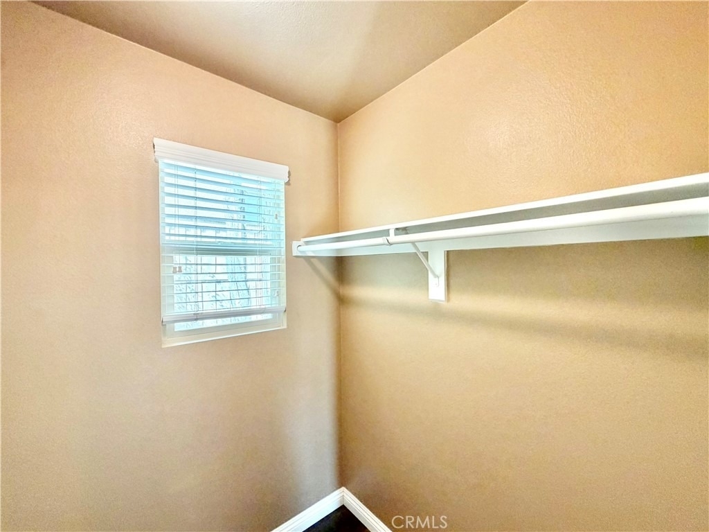 34089 Dianthus Lane - Photo 15