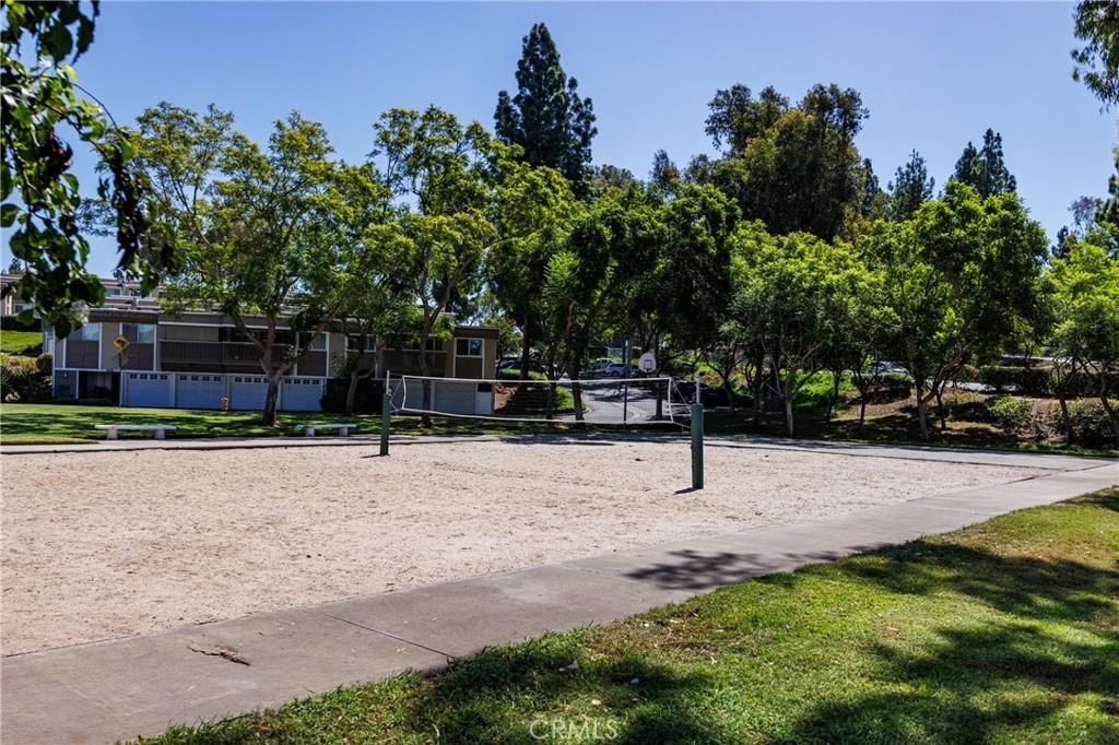 23306 Caminito Marcial - Photo 38