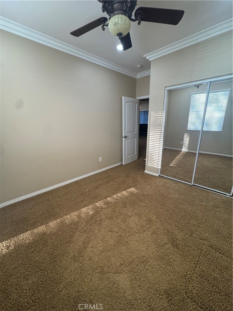 13203 Quarter Horse - Photo 26