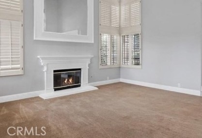 22271 Birchleaf - Photo 10
