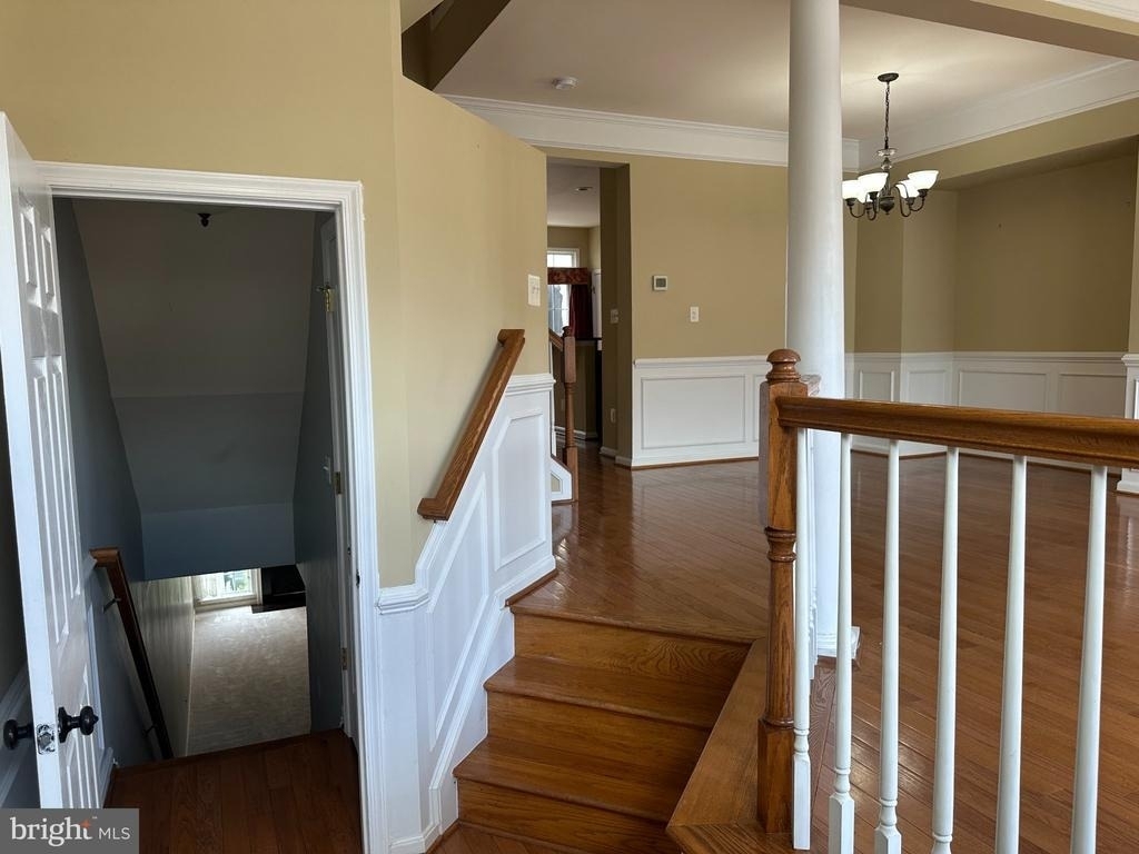 25147 Cutgrass Terrace - Photo 3