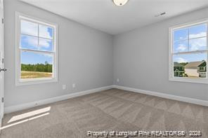 297 Marlborough  (lot 450) Street - Photo 11