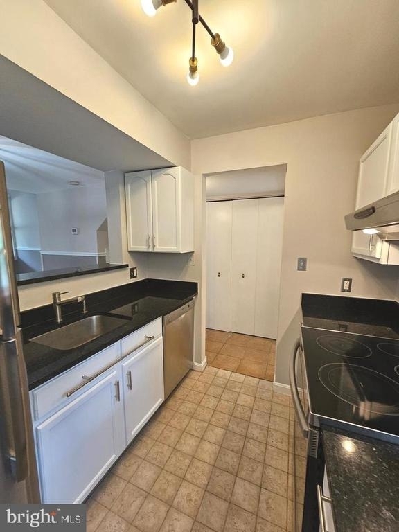 11902 Foal Lane - Photo 5