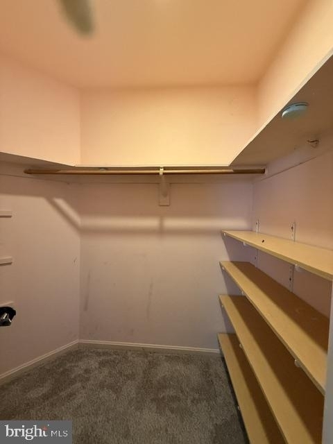 3059 Huntington Circle - Photo 13
