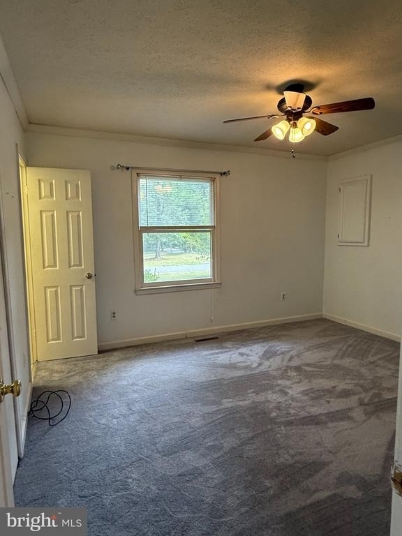 12129 Tall Pine Trl Trail - Photo 5