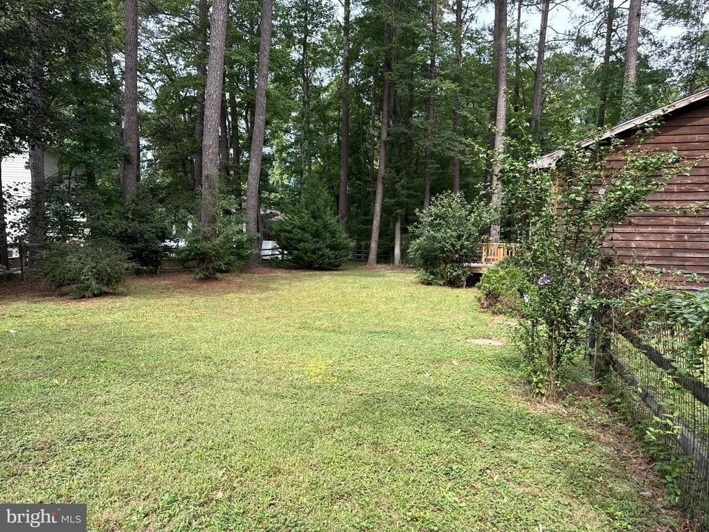 12129 Tall Pine Trl Trail - Photo 18