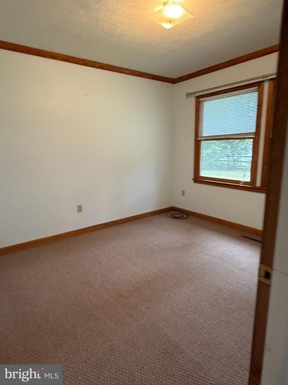 12129 Tall Pine Trl Trail - Photo 8
