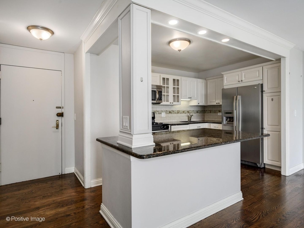 2800 N Lake Shore Drive - Photo 5