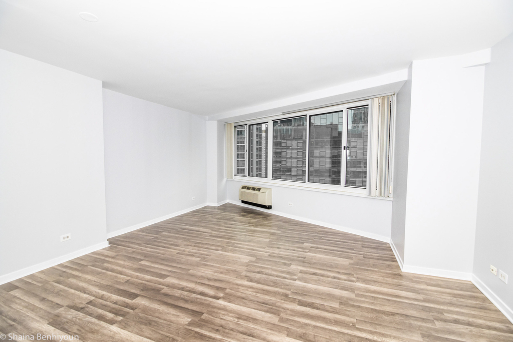 211 E Ohio Street - Photo 9