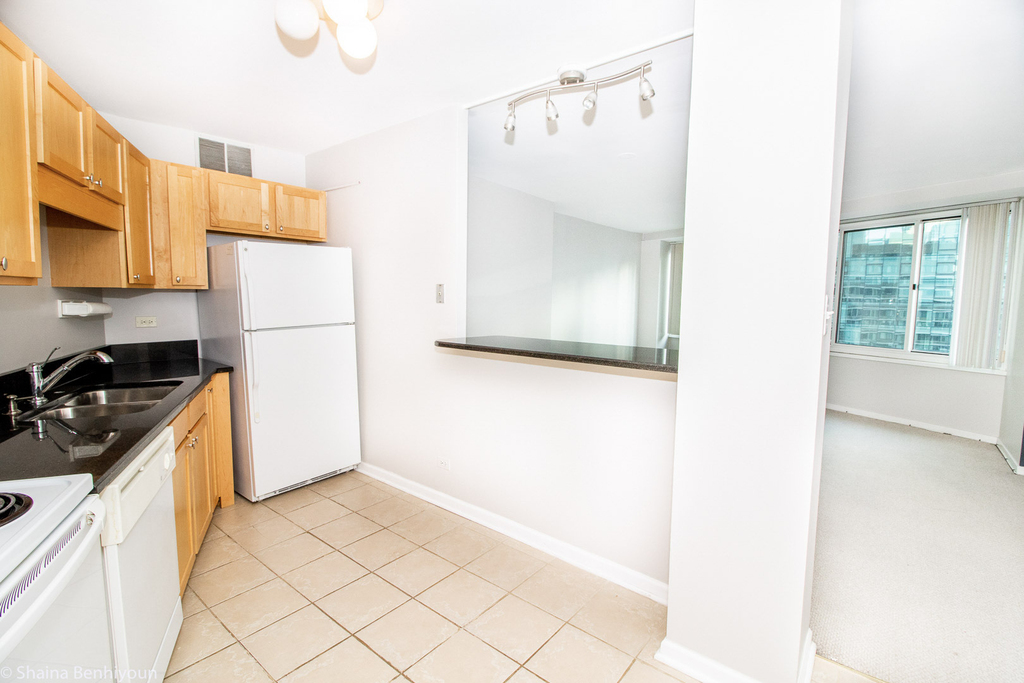 211 E Ohio Street - Photo 8