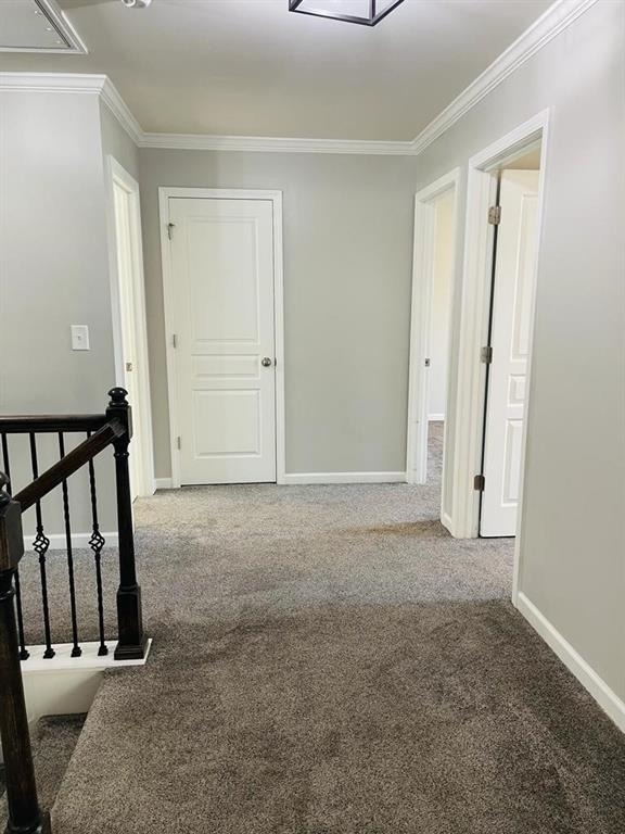 411 Timberleaf Road - Photo 14