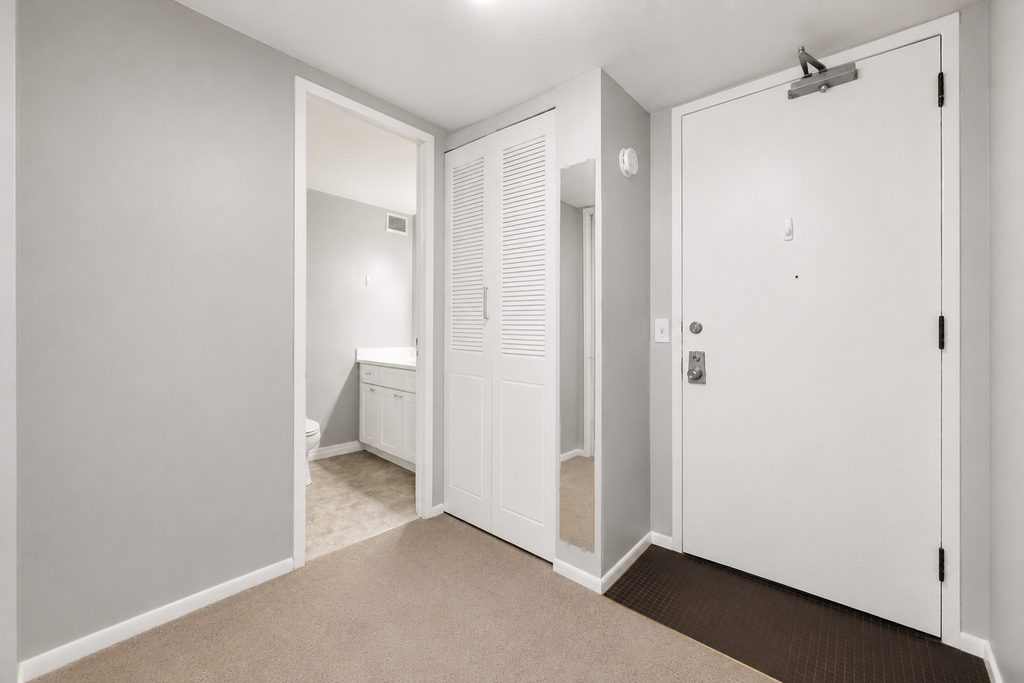 233 E Erie Street - Photo 12