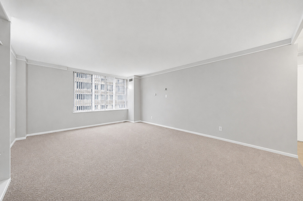 233 E Erie Street - Photo 4